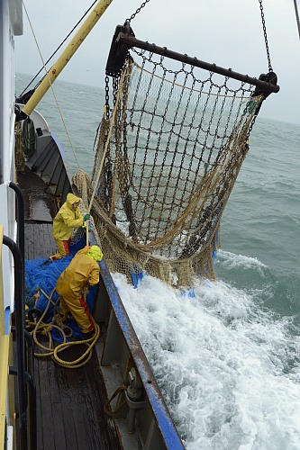 Northsea
Fisherman at work on the ship O.229
Fishermen / fishing boats / fishing equipment
Aart van Belzen